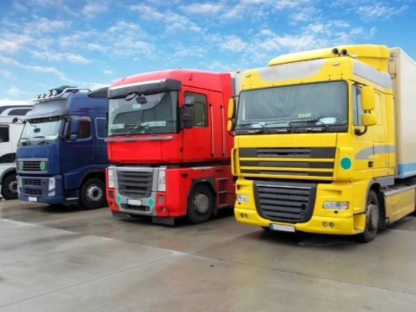 Adana Kurucaşile Nakliye